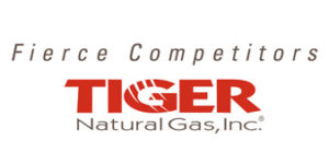Picture 23 Tiger logo